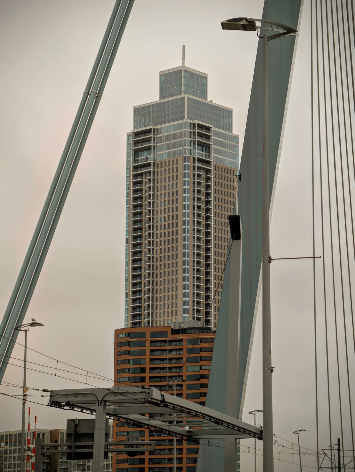 De Zalmhaventoren in Rotterdam, gefotografeerd tussen de kabels van de Erasmusbrug